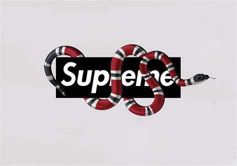 Gucci Supreme Wallpapers 